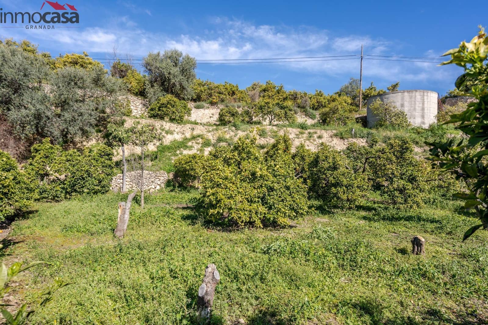 Undeveloped Land for sale in El Pinar - € 25,000 (Ref: 8428731)
