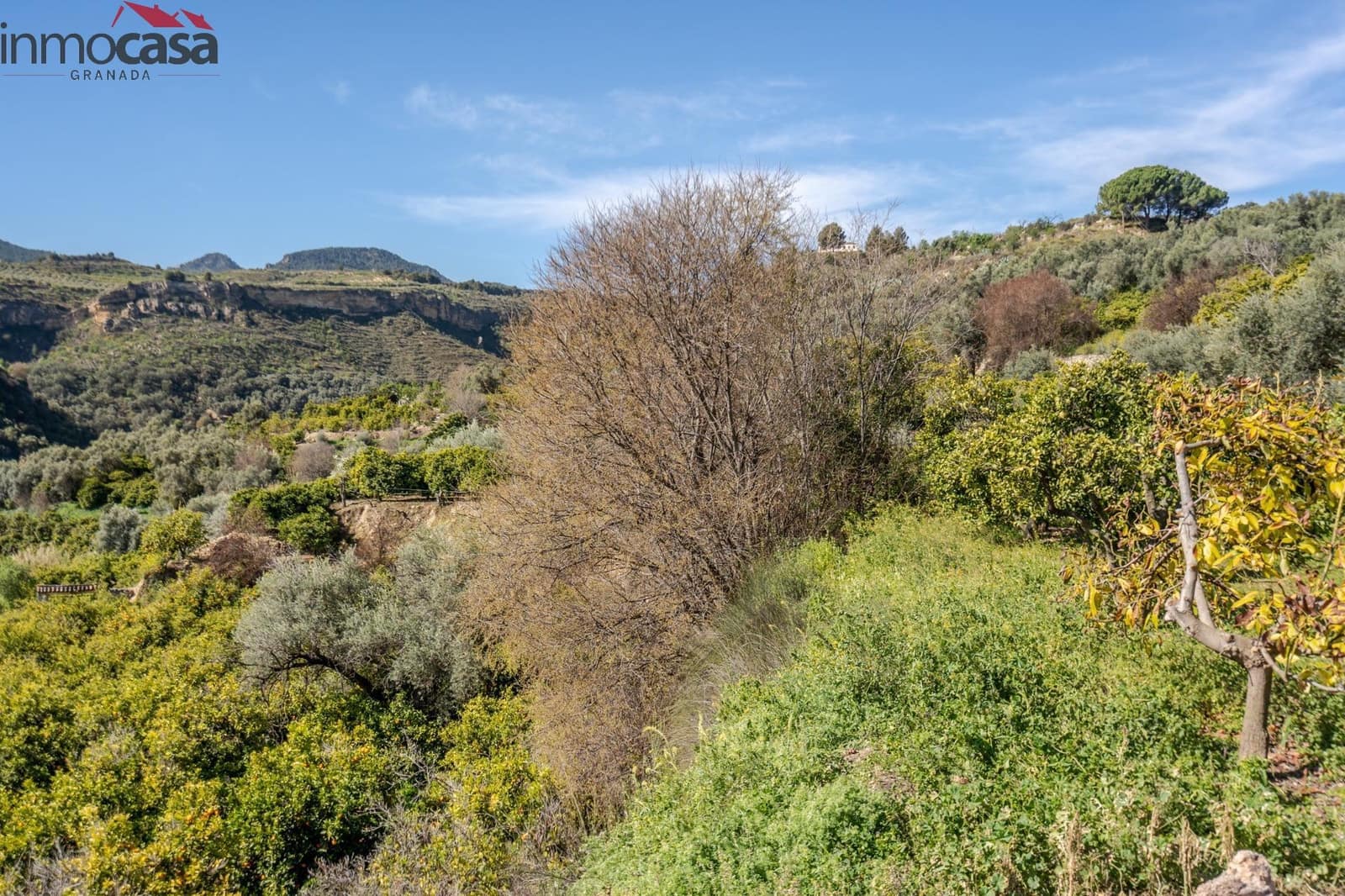 Undeveloped Land for sale in El Pinar - € 25,000 (Ref: 8428731)