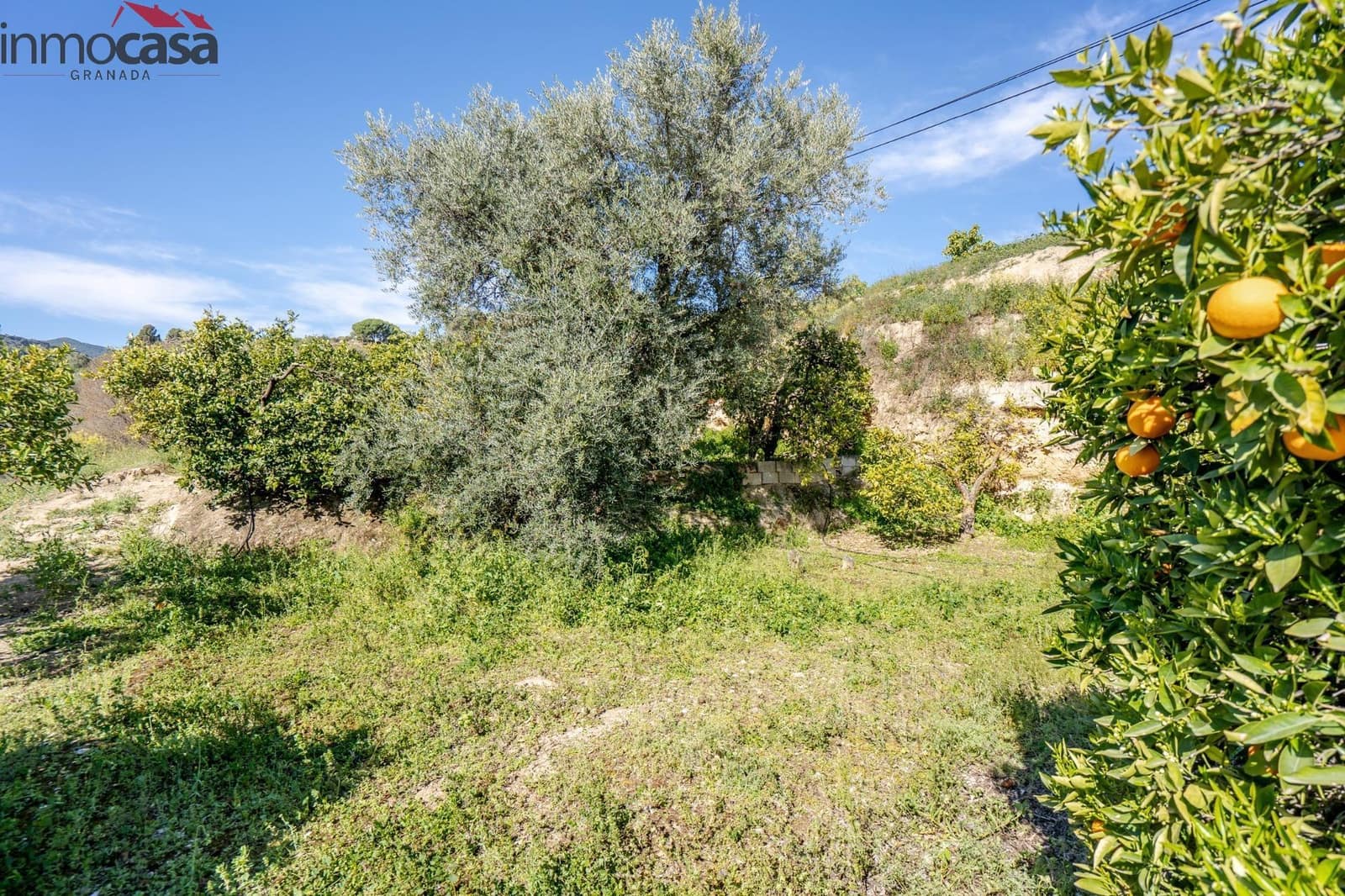 Undeveloped Land for sale in El Pinar - € 25,000 (Ref: 8428731)