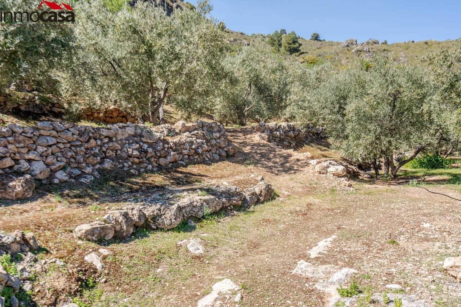 Grunde uden byggetilladelser til salg i El Pinar - € 40.000 (Ref: 8428732)