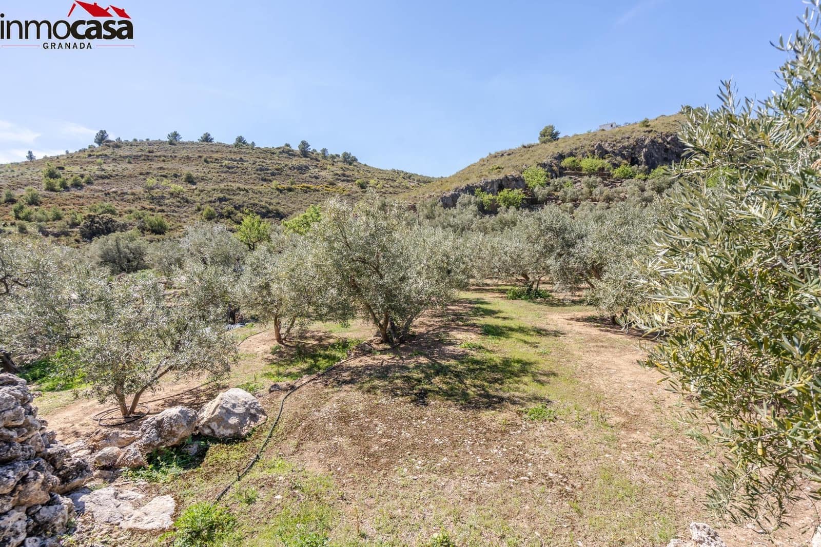 Grond te koop in El Pinar - € 40.000 (Ref: 8428732)
