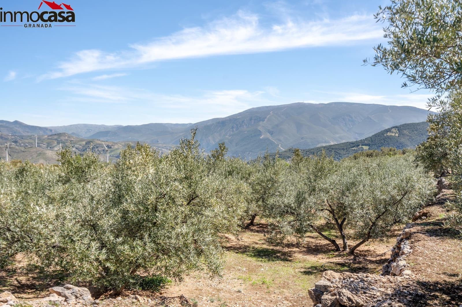 Grond te koop in El Pinar - € 40.000 (Ref: 8428732)