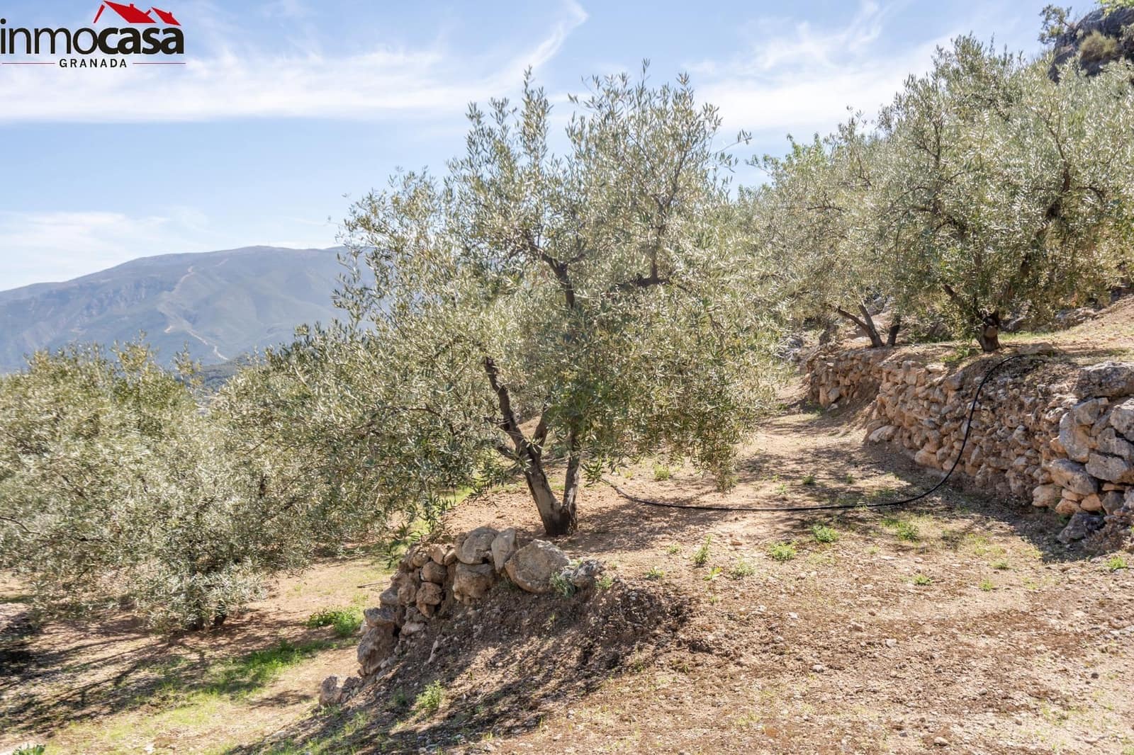 Grond te koop in El Pinar - € 40.000 (Ref: 8428732)