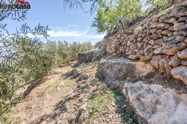 Grond te koop in El Pinar - € 40.000 (Ref: 8428732)