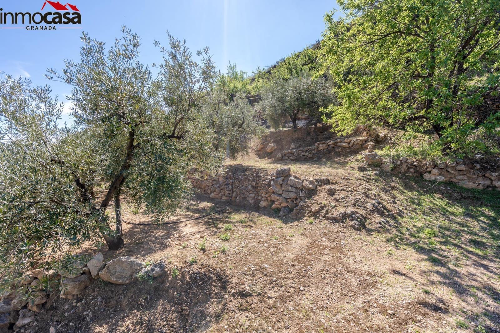 Grond te koop in El Pinar - € 40.000 (Ref: 8428732)