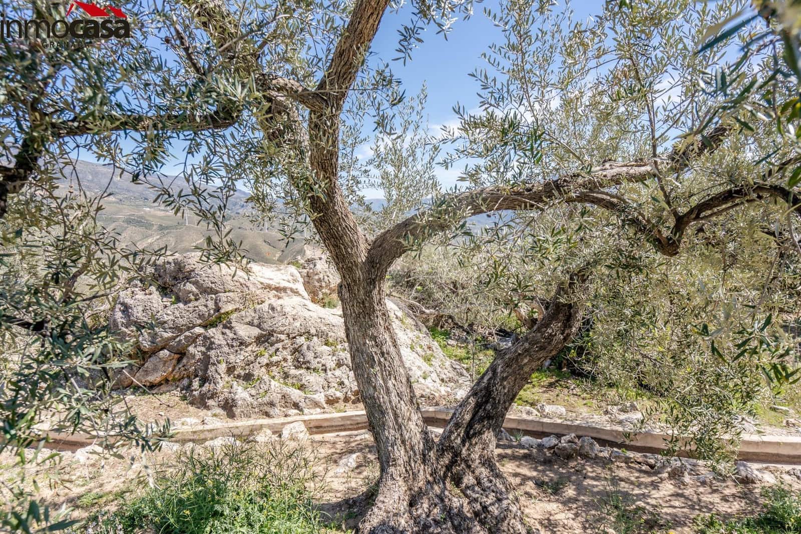 Grond te koop in El Pinar - € 40.000 (Ref: 8428732)