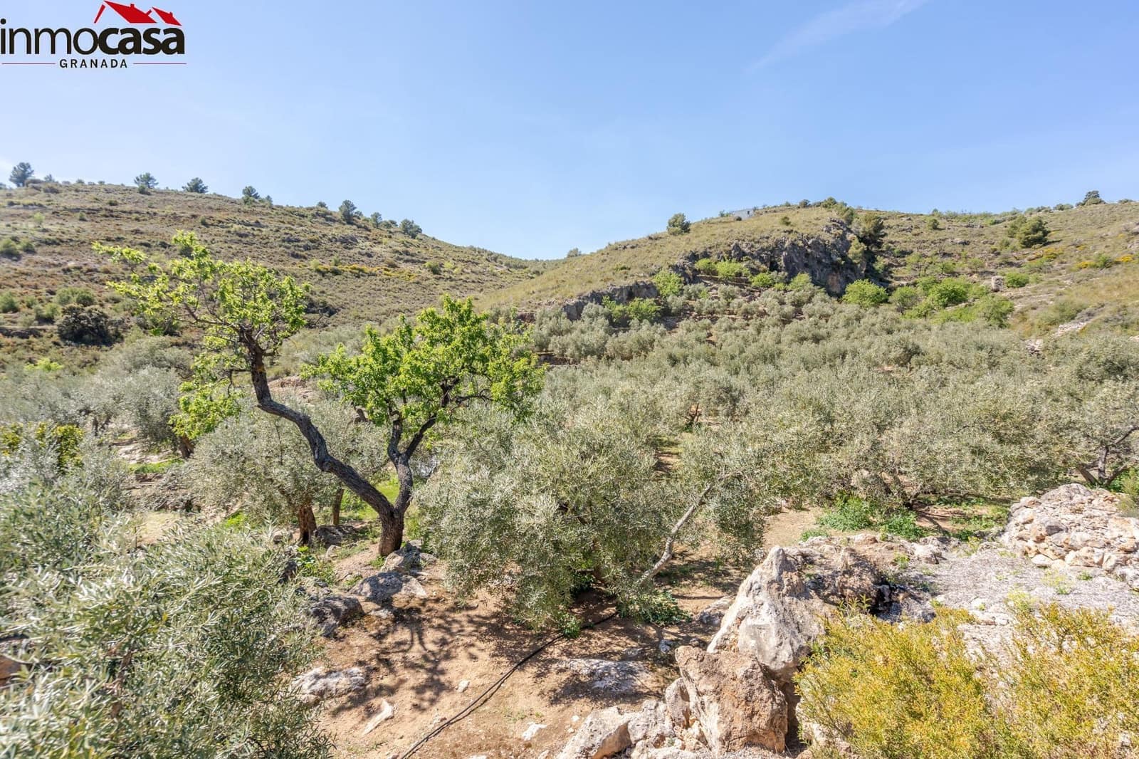 Grond te koop in El Pinar - € 40.000 (Ref: 8428732)