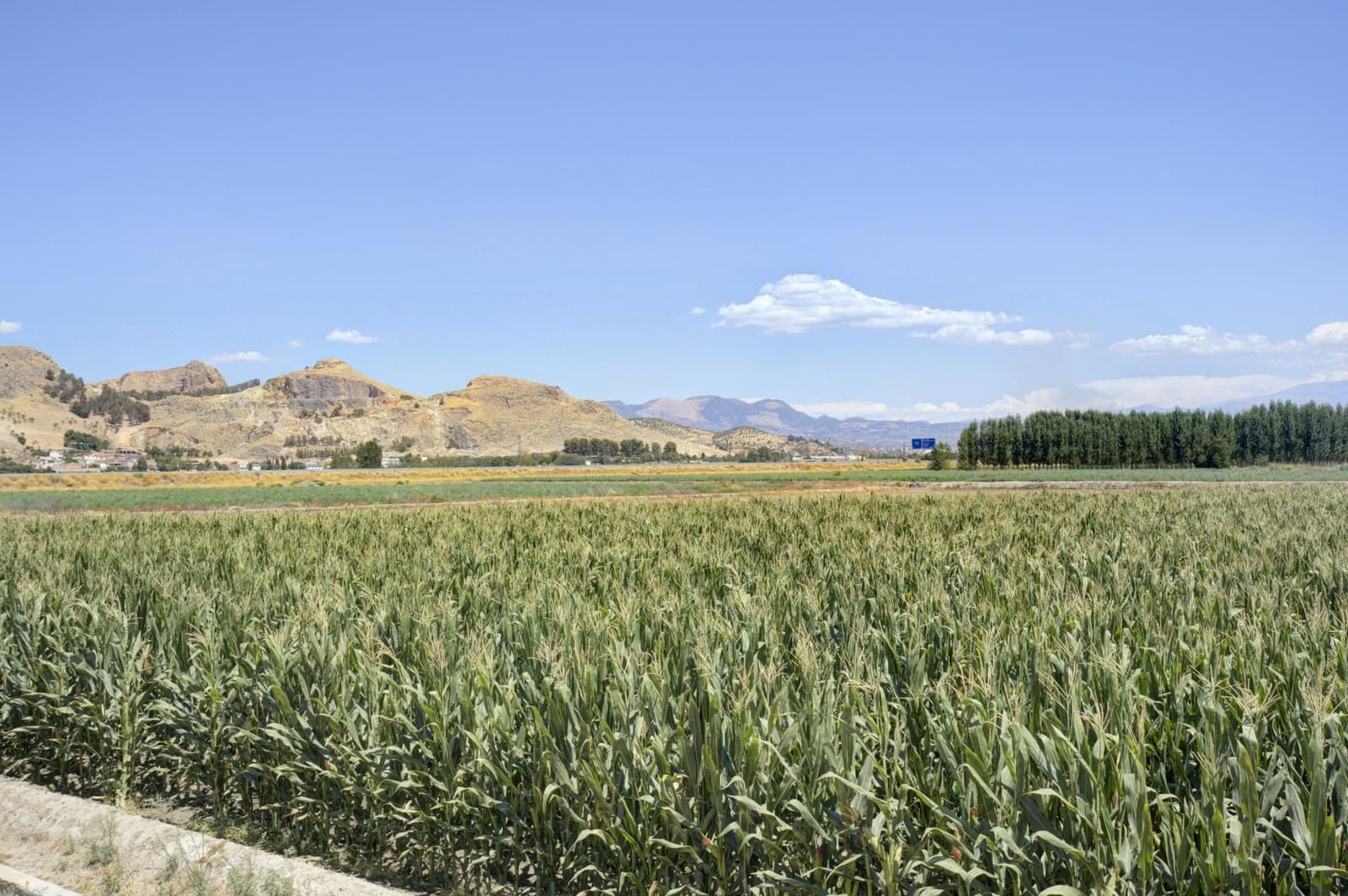 2 soveværelse Villa til salg i Pinos Puente - € 1.150.000 (Ref: 8479264)