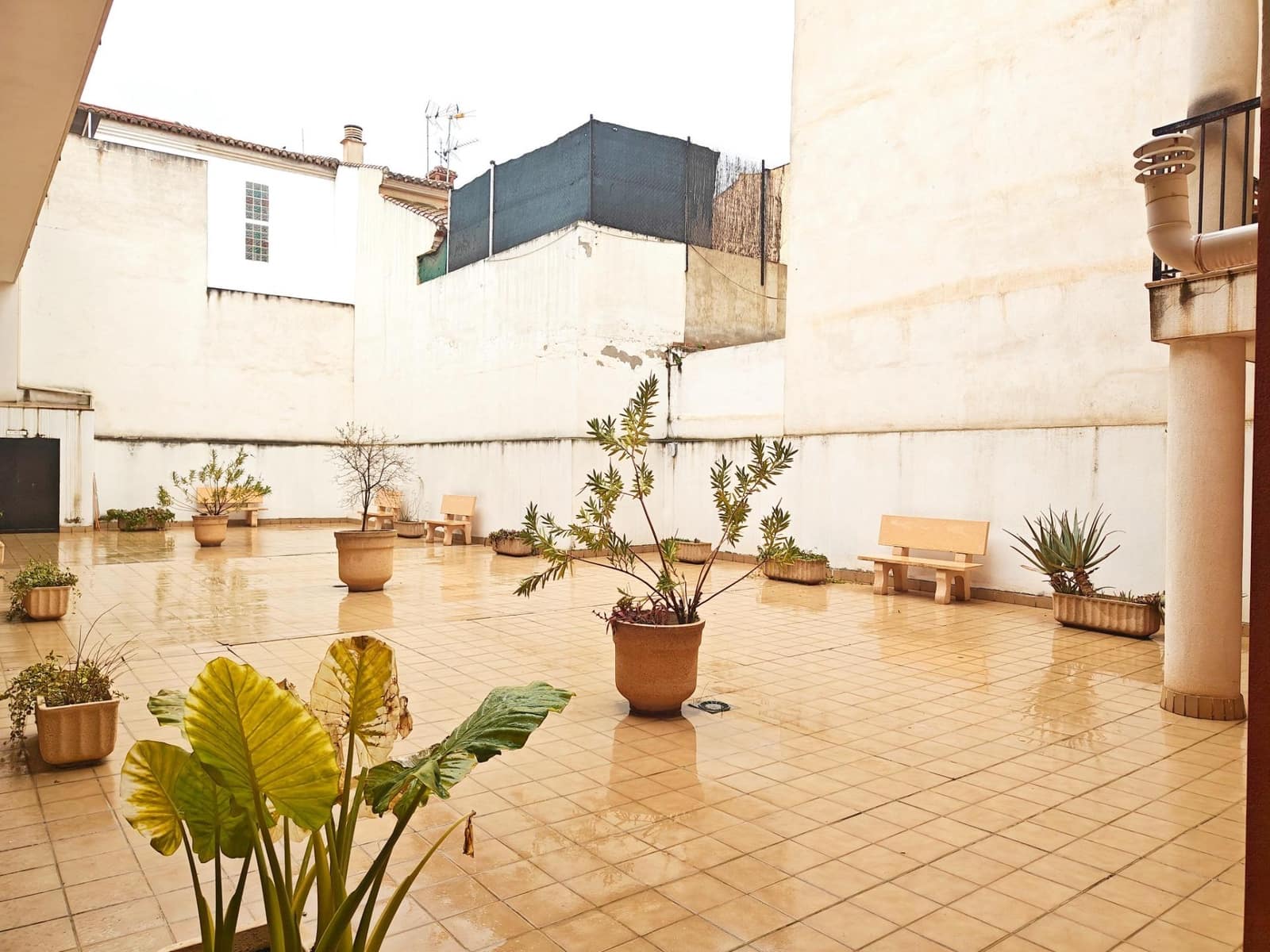 2 bedroom Flat for rent in Churriana de la Vega with garage - € 700 (Ref: 8505815)