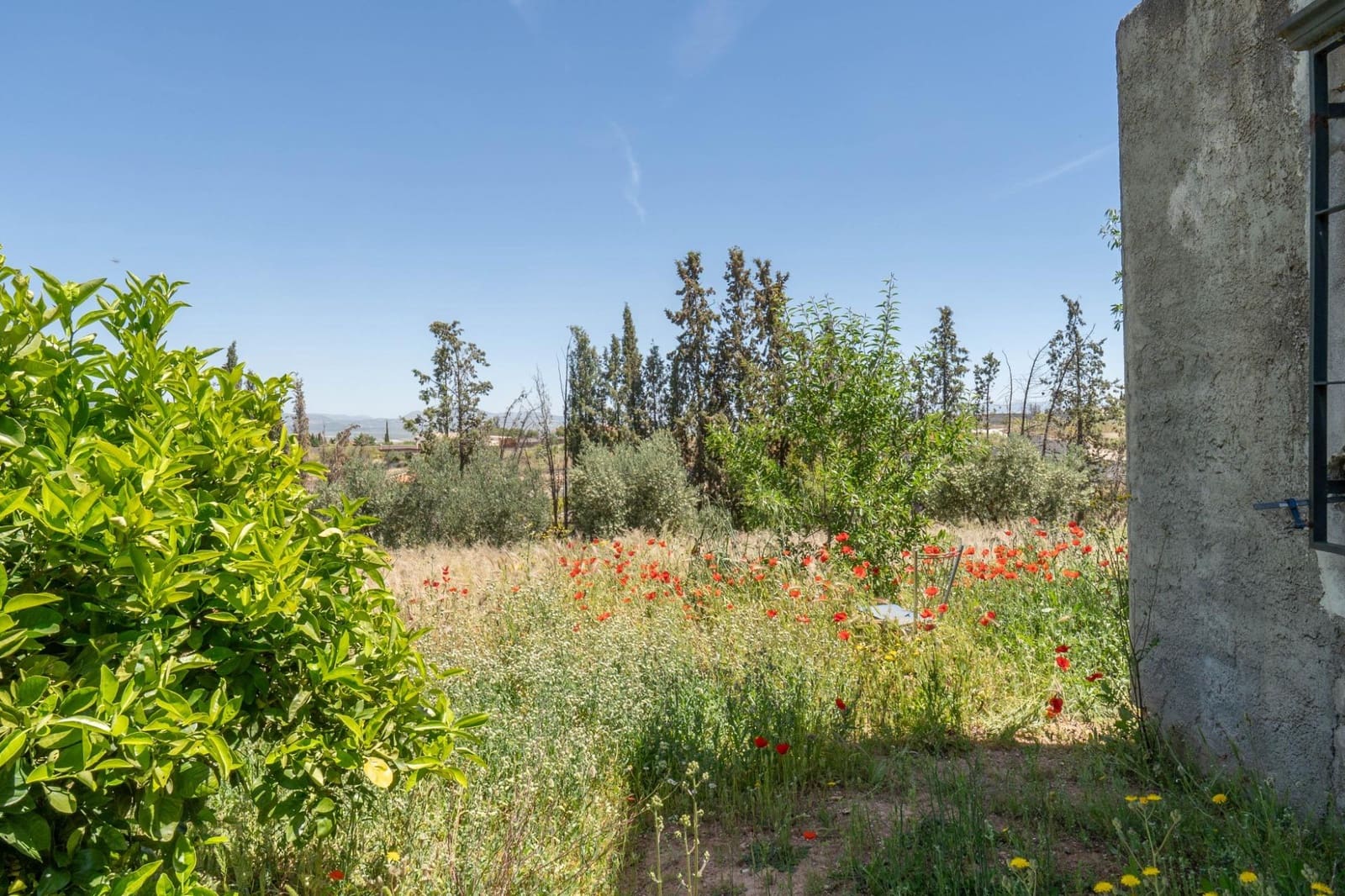 3 soveværelse Finca/Landehus til salg i Moraleda de Zafayona med garage - € 83.000 (Ref: 8505817)