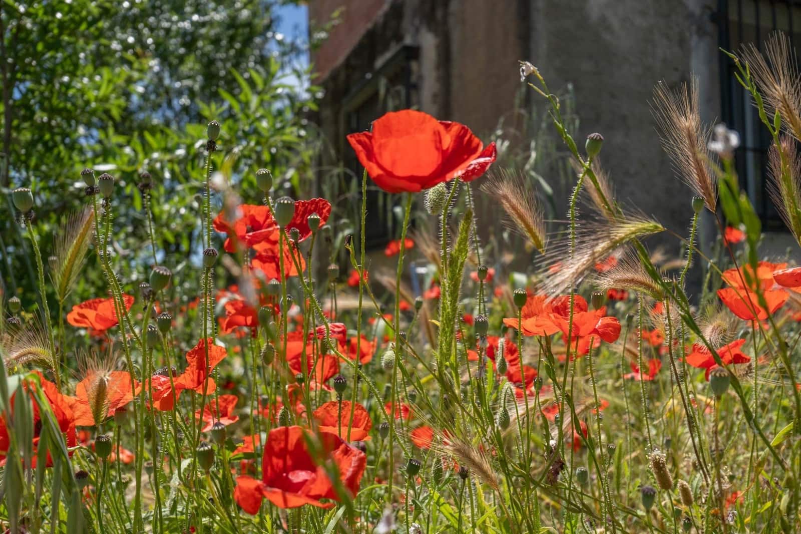 3 soveværelse Finca/Landehus til salg i Moraleda de Zafayona med garage - € 83.000 (Ref: 8505817)