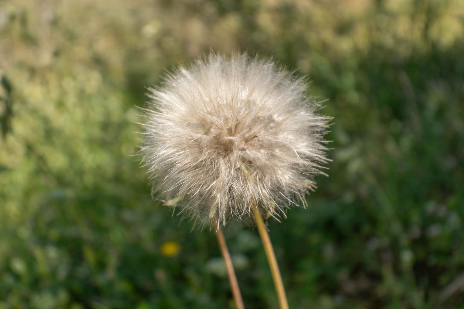 3 soveværelse Finca/Landehus til salg i Moraleda de Zafayona med garage - € 83.000 (Ref: 8505817)