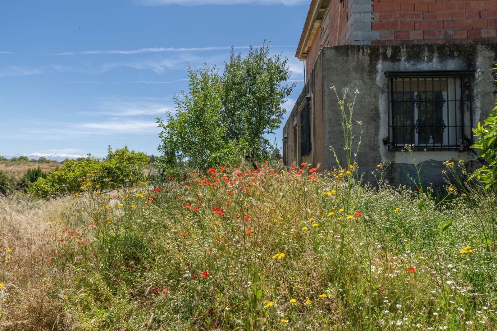 3 soveværelse Finca/Landehus til salg i Moraleda de Zafayona med garage - € 83.000 (Ref: 8505817)