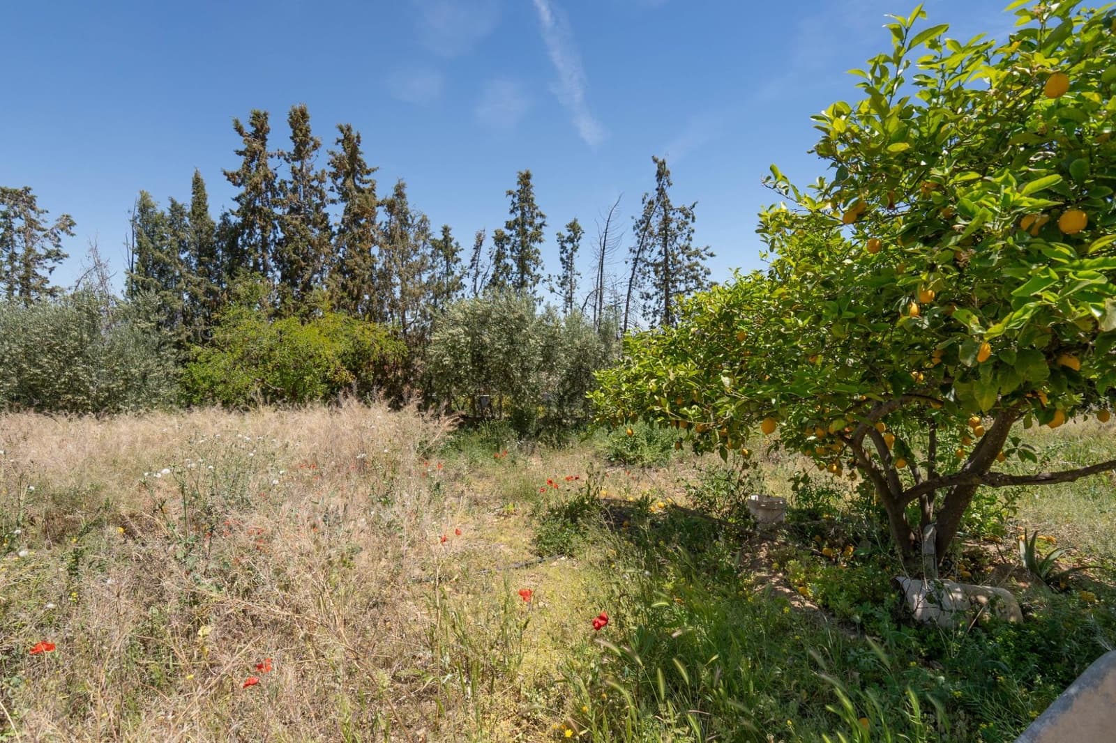 3 soveværelse Finca/Landehus til salg i Moraleda de Zafayona med garage - € 83.000 (Ref: 8505817)