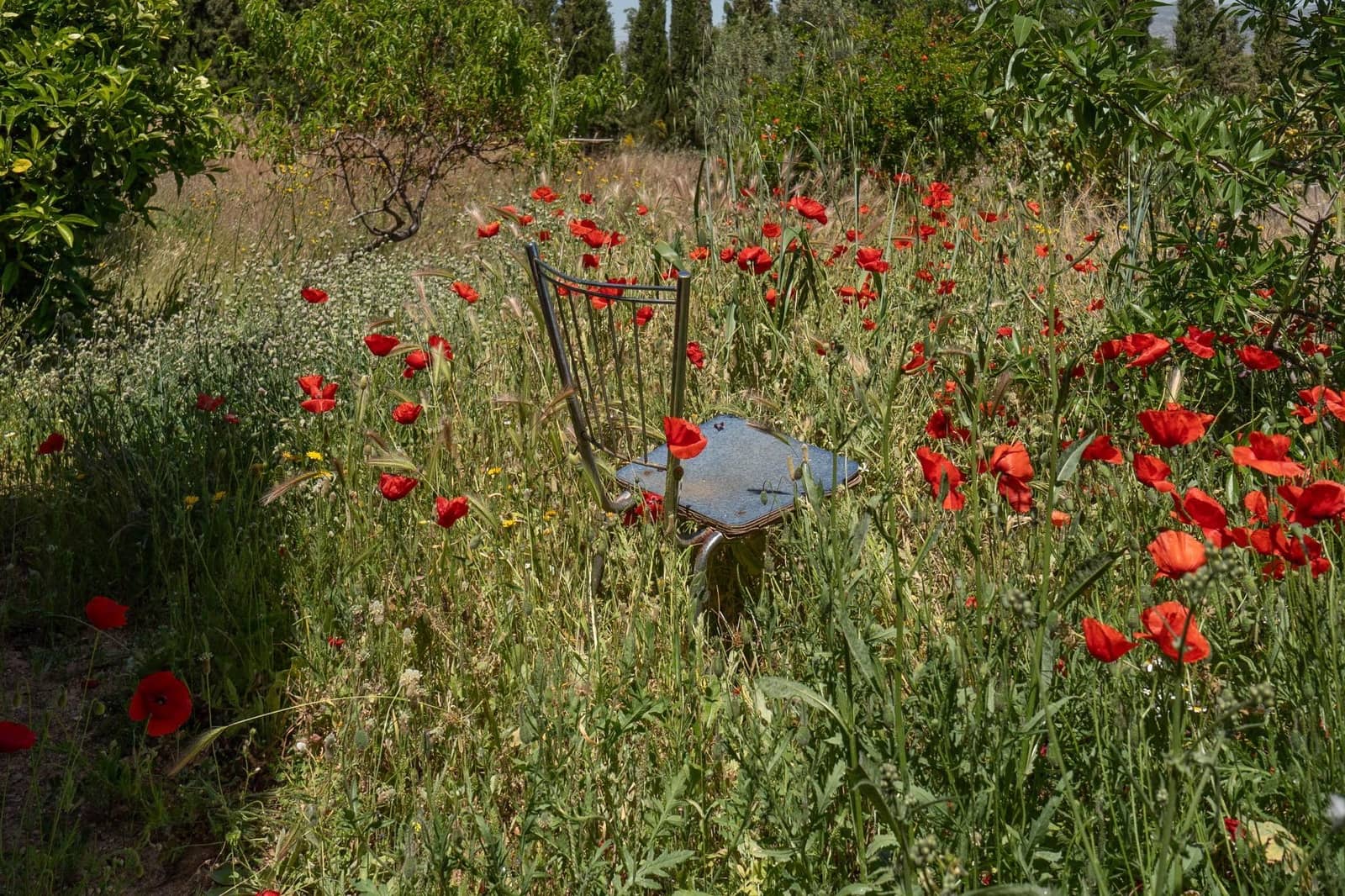 3 soveværelse Finca/Landehus til salg i Moraleda de Zafayona med garage - € 83.000 (Ref: 8505817)