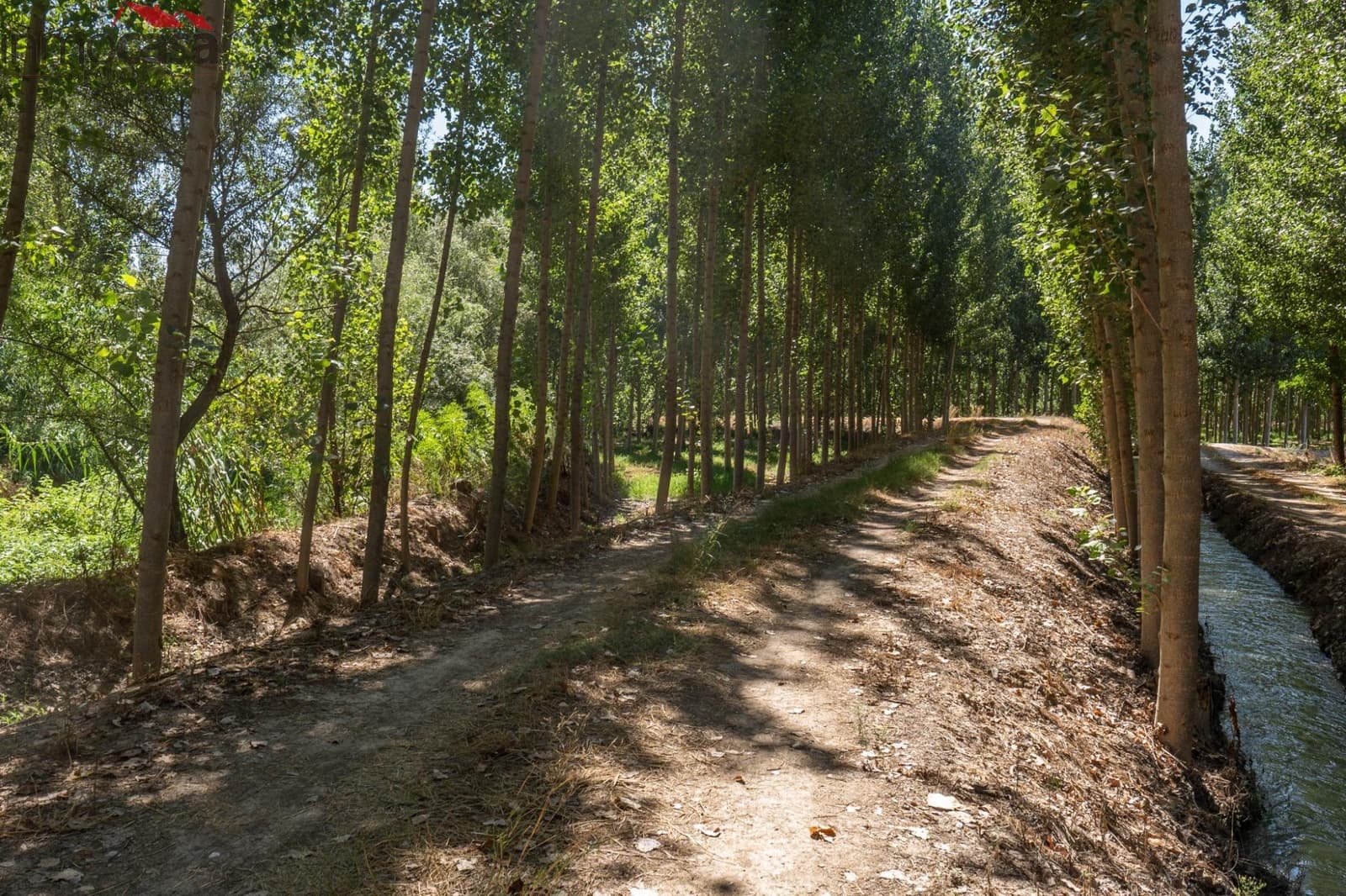 6 soverom Villa til salgs i Valderrubio med svømmebasseng garasje - € 290 000 (Ref: 8532032)