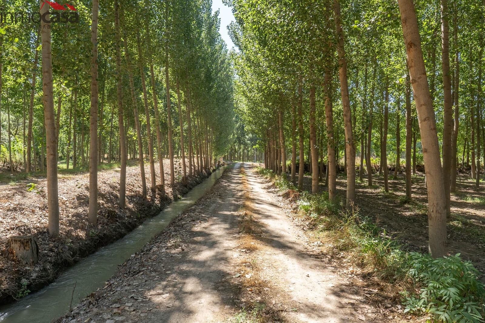 6 soverom Villa til salgs i Valderrubio med svømmebasseng garasje - € 290 000 (Ref: 8532032)