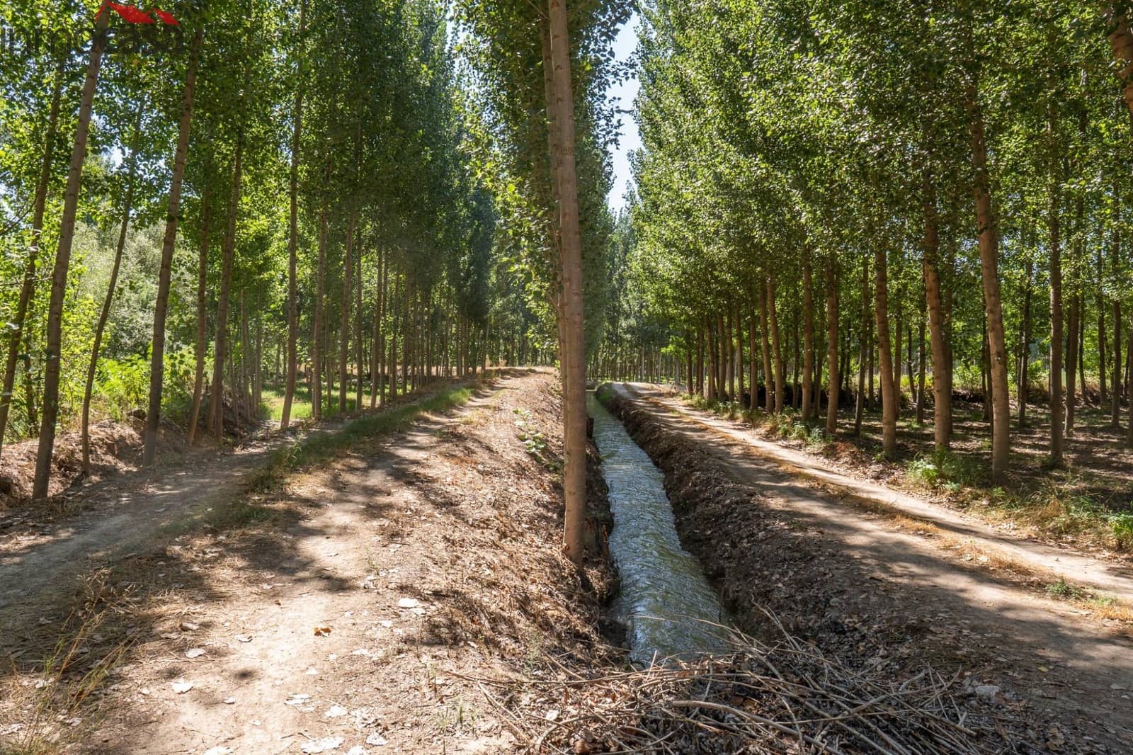 6 soverom Villa til salgs i Valderrubio med svømmebasseng garasje - € 290 000 (Ref: 8532032)