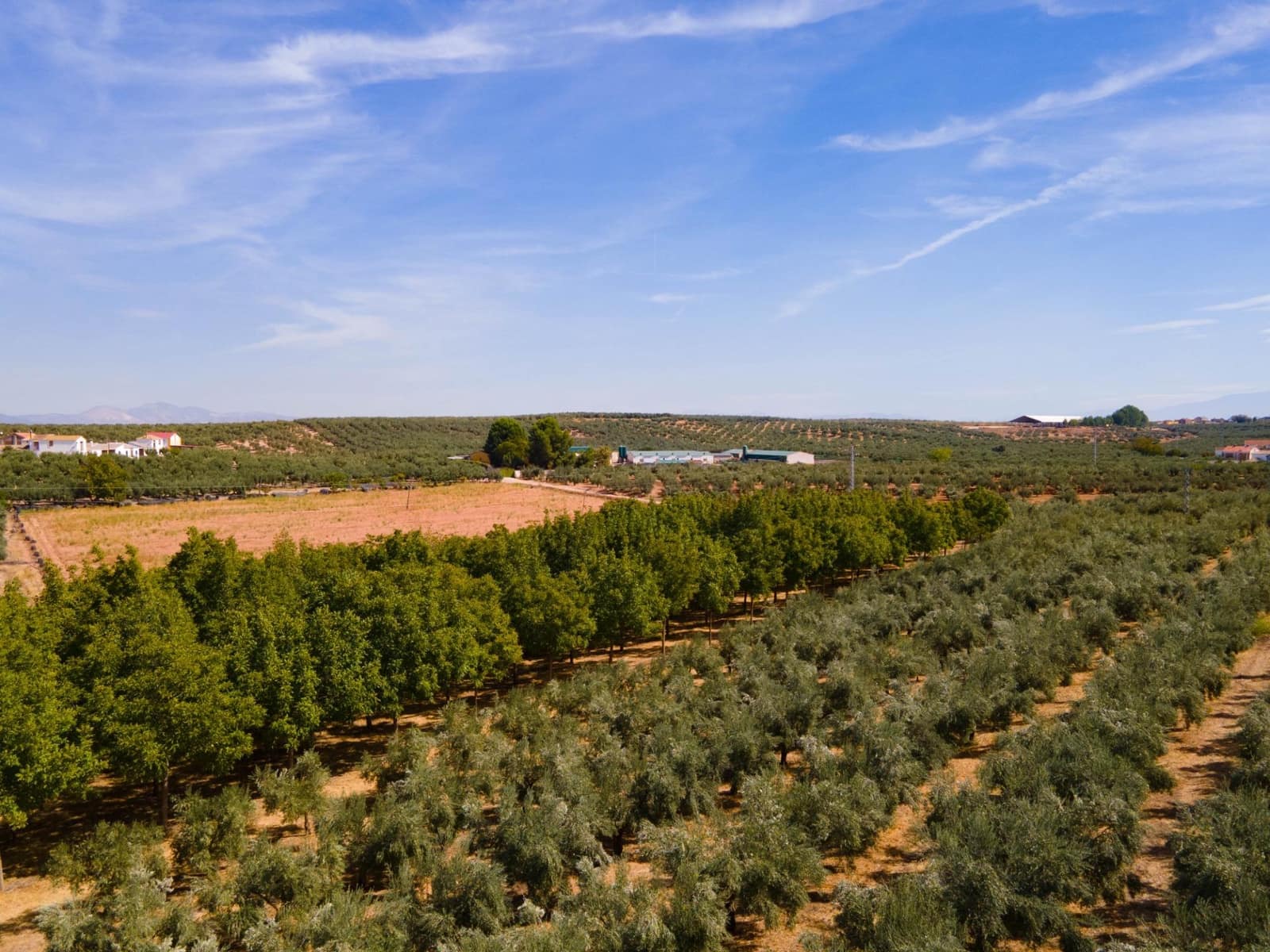 5 soveværelse Villa til salg i Moraleda de Zafayona med swimmingpool - € 800.000 (Ref: 8572263)