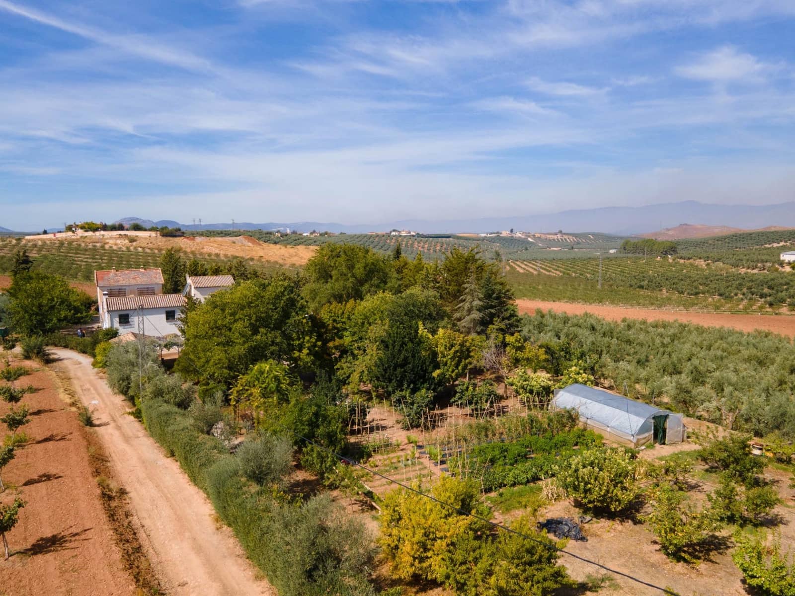 5 soveværelse Villa til salg i Moraleda de Zafayona med swimmingpool - € 800.000 (Ref: 8572263)