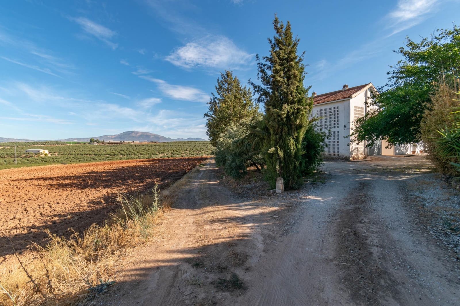 5 soveværelse Villa til salg i Moraleda de Zafayona med swimmingpool - € 800.000 (Ref: 8572263)