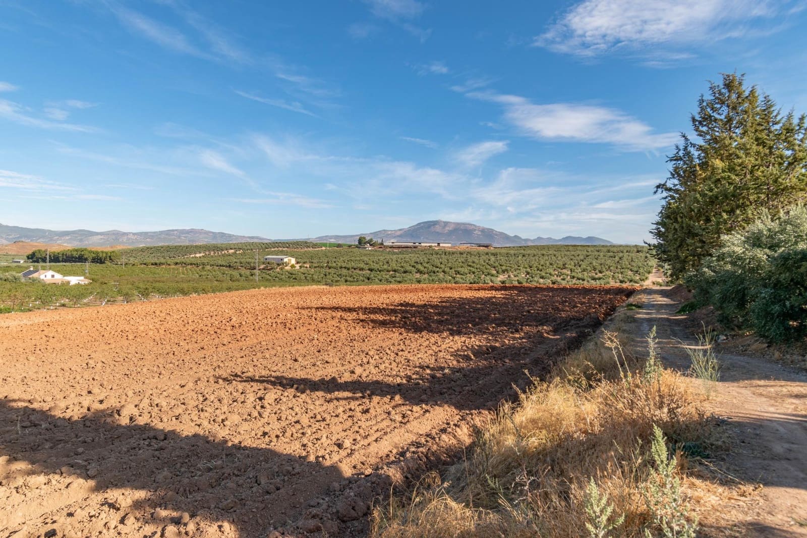 5 soveværelse Villa til salg i Moraleda de Zafayona med swimmingpool - € 800.000 (Ref: 8572263)