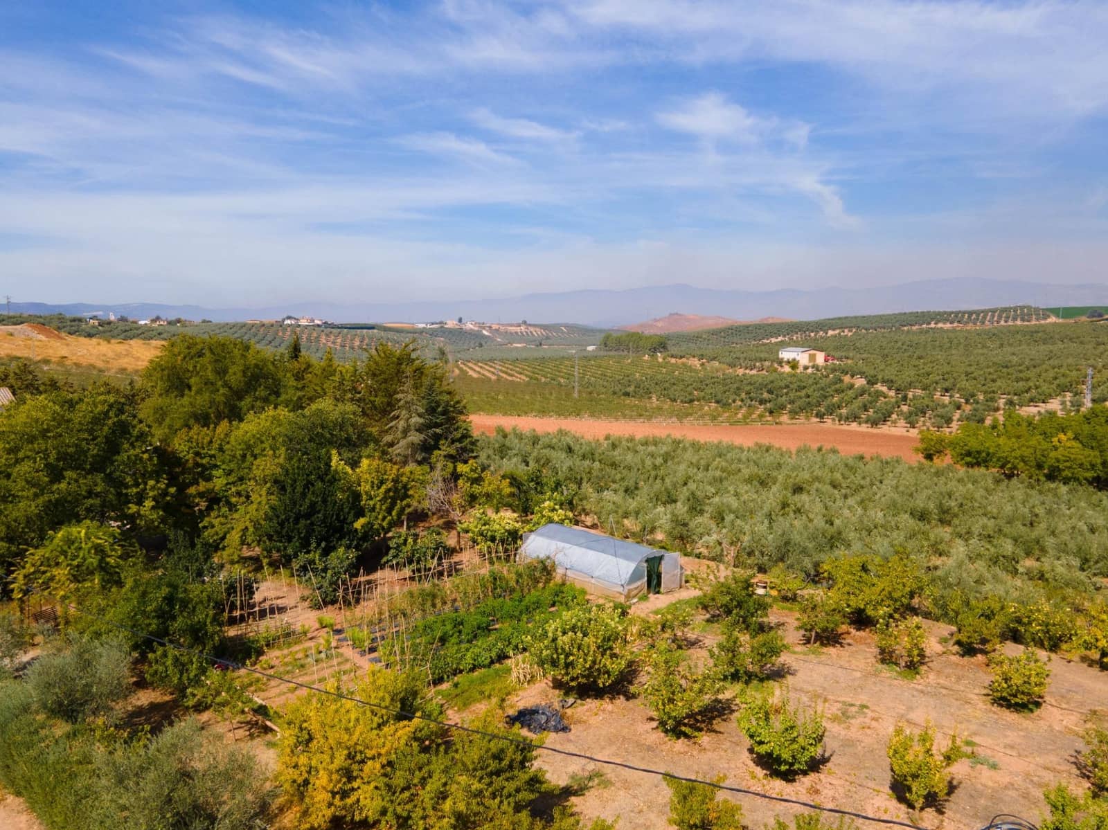 5 soveværelse Villa til salg i Moraleda de Zafayona med swimmingpool - € 800.000 (Ref: 8572263)