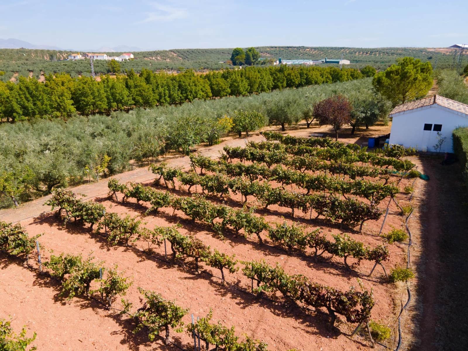 5 soveværelse Villa til salg i Moraleda de Zafayona med swimmingpool - € 800.000 (Ref: 8572263)