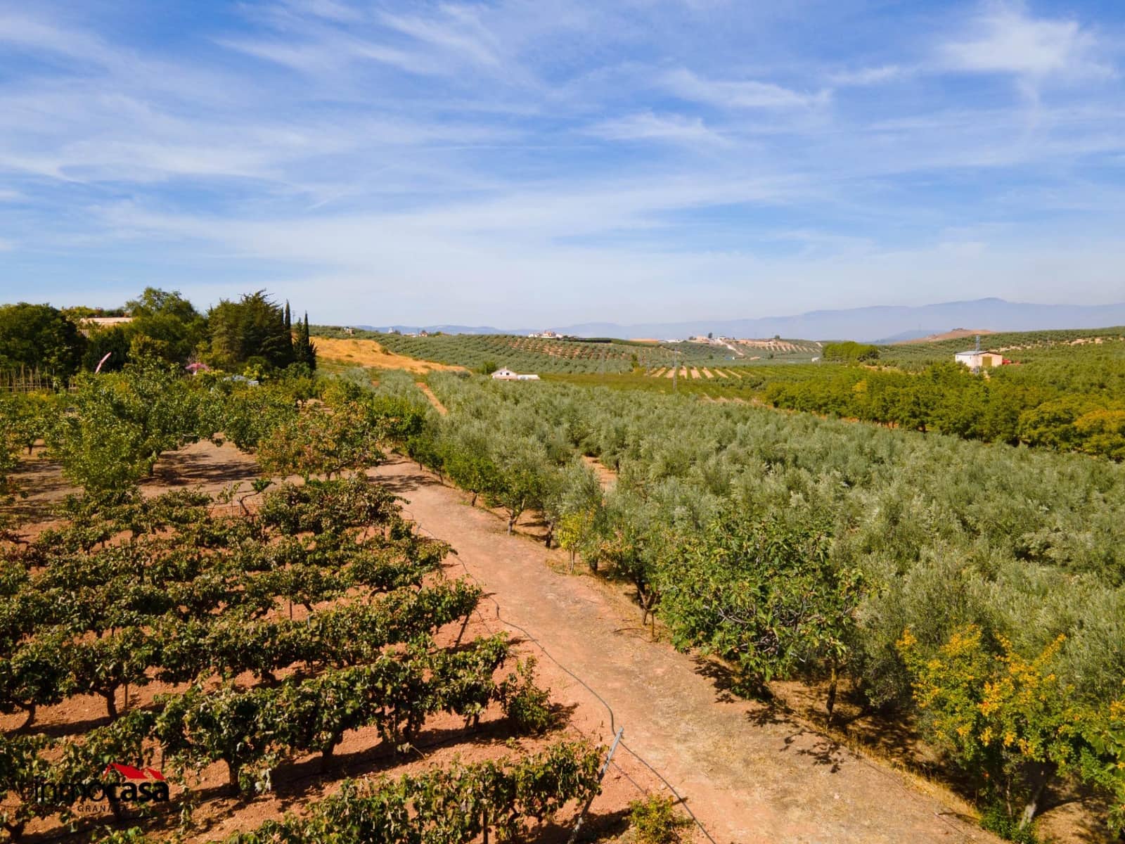 5 soveværelse Villa til salg i Moraleda de Zafayona med swimmingpool - € 800.000 (Ref: 8572263)