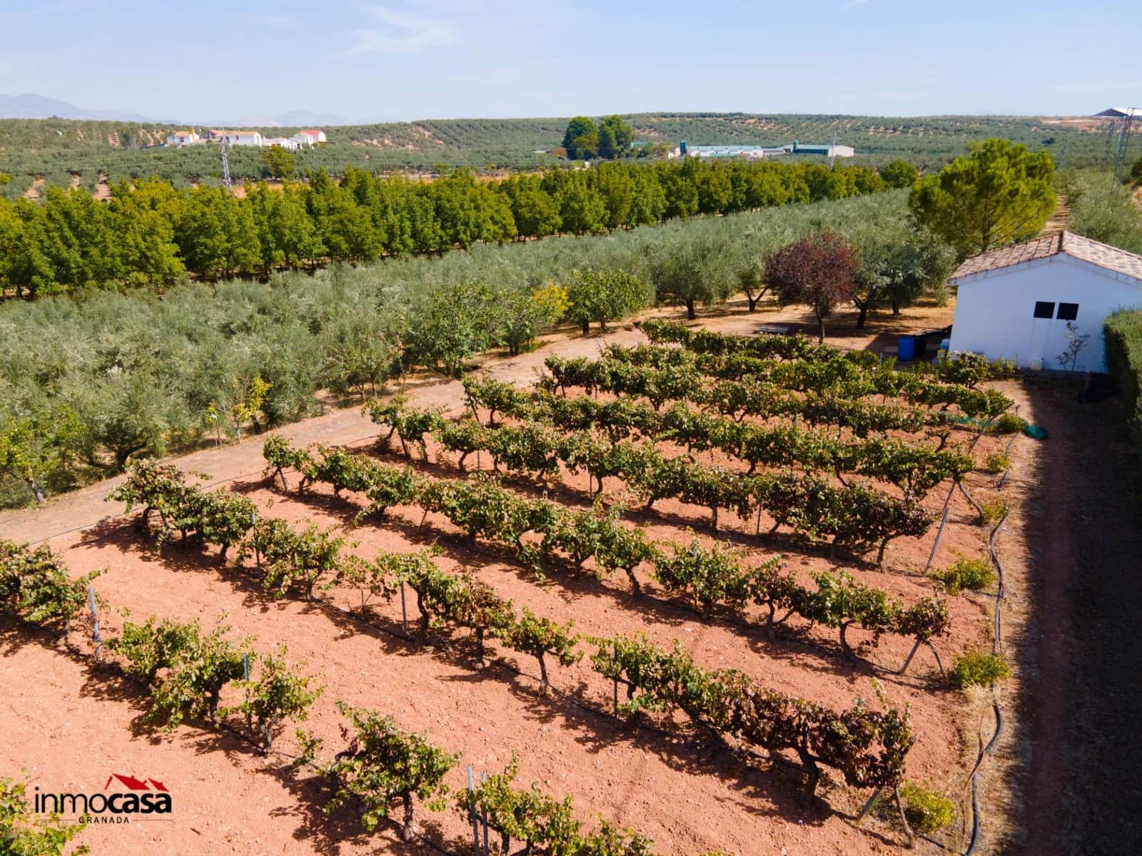 5 soveværelse Villa til salg i Moraleda de Zafayona med swimmingpool - € 800.000 (Ref: 8572263)