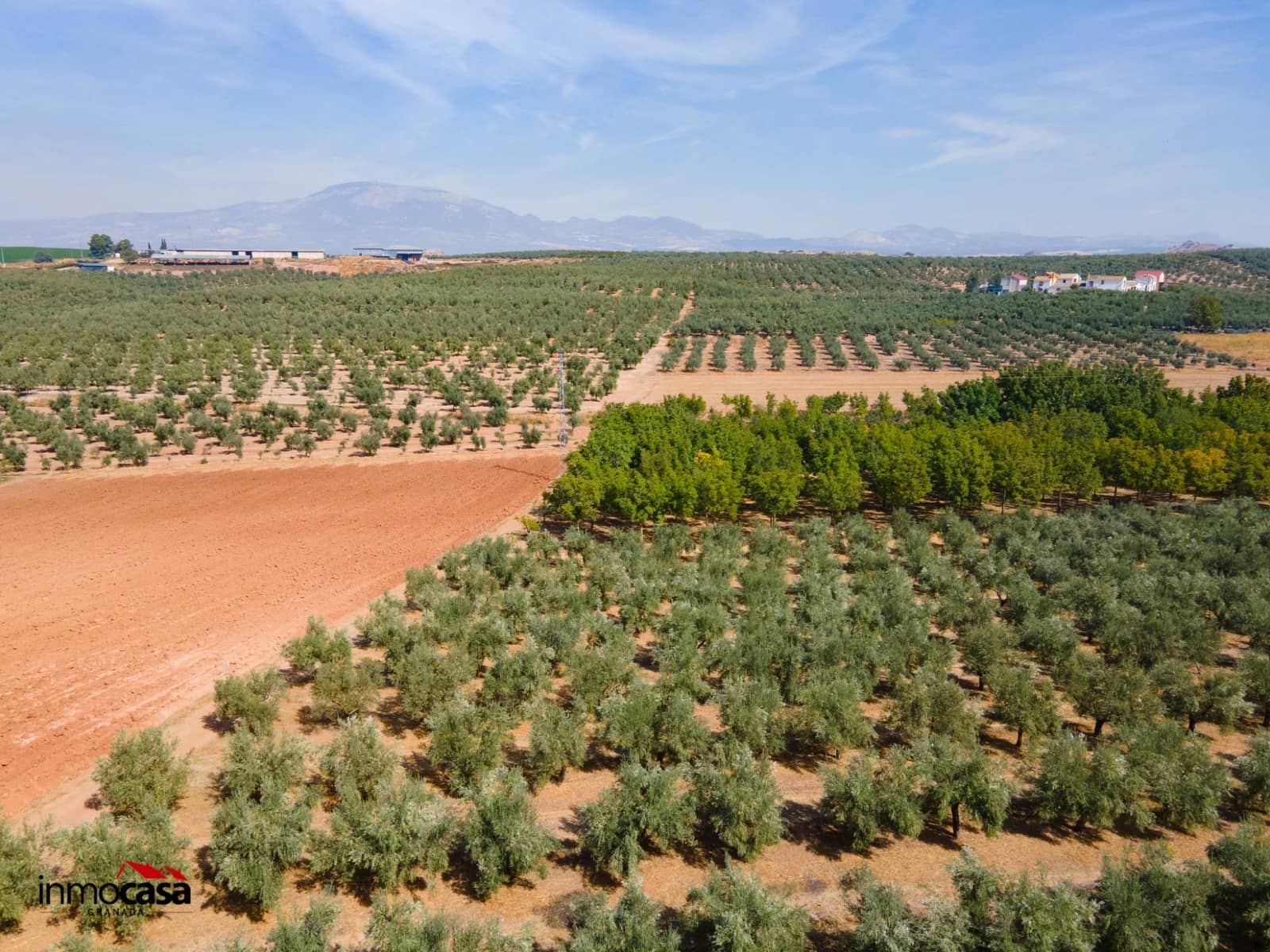 5 soveværelse Villa til salg i Moraleda de Zafayona med swimmingpool - € 800.000 (Ref: 8572263)