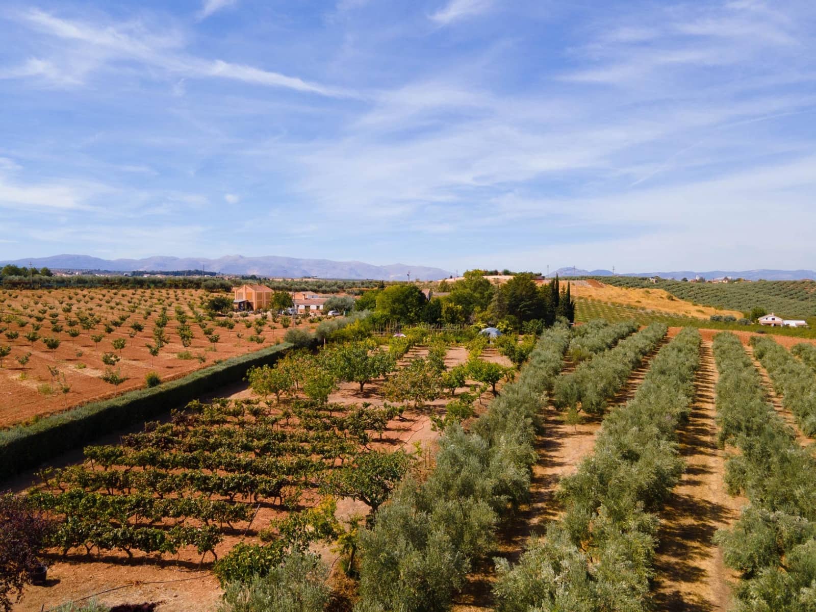 5 soveværelse Villa til salg i Moraleda de Zafayona med swimmingpool - € 800.000 (Ref: 8572263)