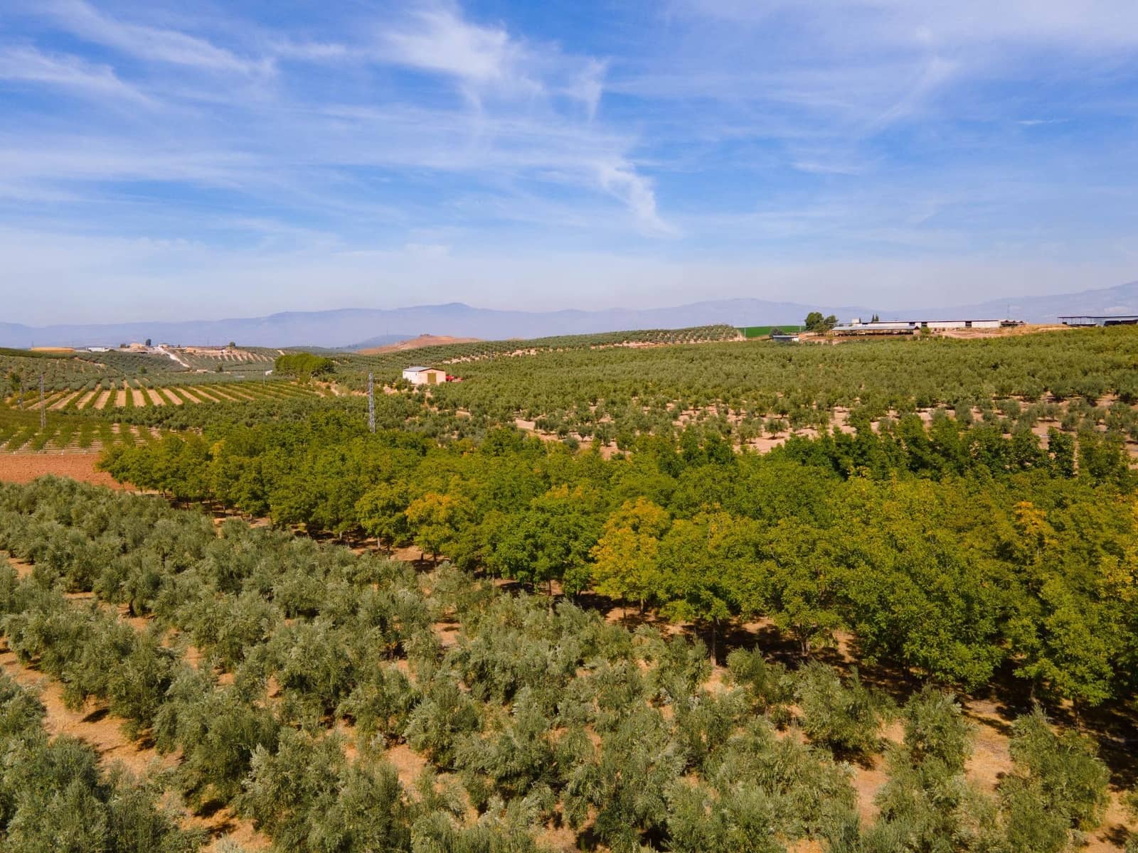 5 soveværelse Villa til salg i Moraleda de Zafayona med swimmingpool - € 800.000 (Ref: 8572263)