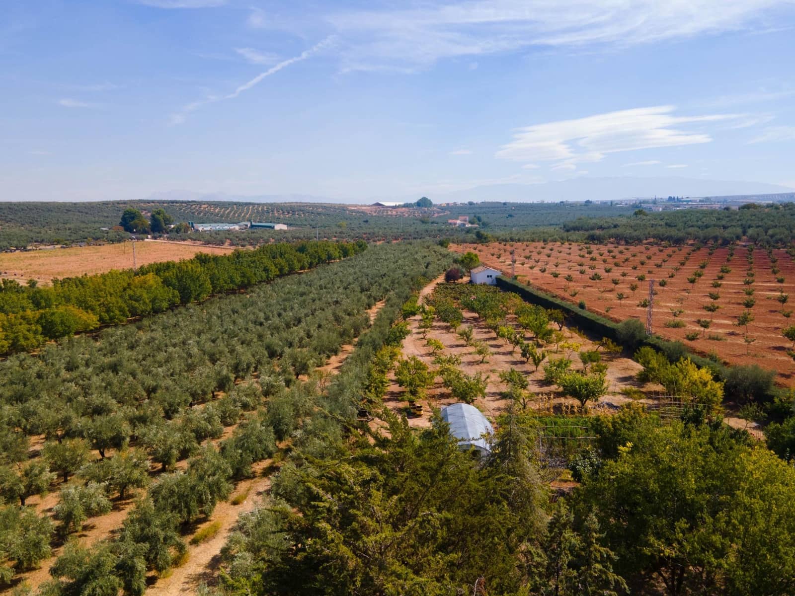 5 soveværelse Villa til salg i Moraleda de Zafayona med swimmingpool - € 800.000 (Ref: 8572263)