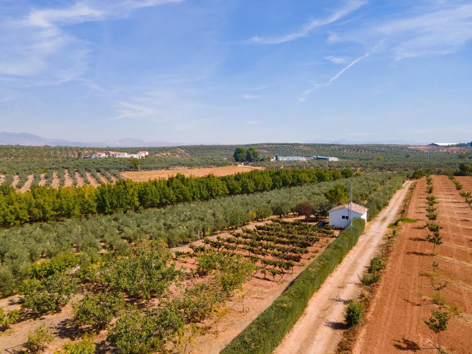 5 soveværelse Villa til salg i Moraleda de Zafayona med swimmingpool - € 800.000 (Ref: 8572263)