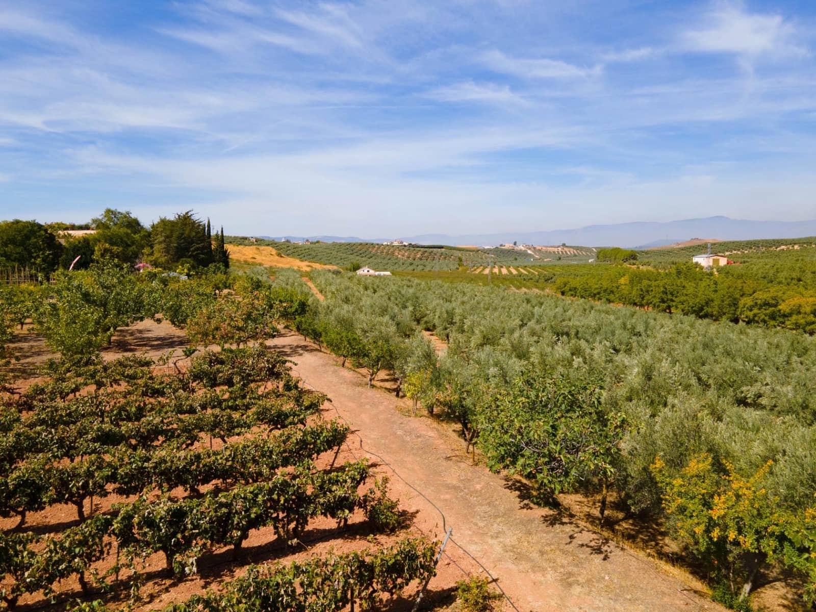 5 soveværelse Villa til salg i Moraleda de Zafayona med swimmingpool - € 800.000 (Ref: 8572263)