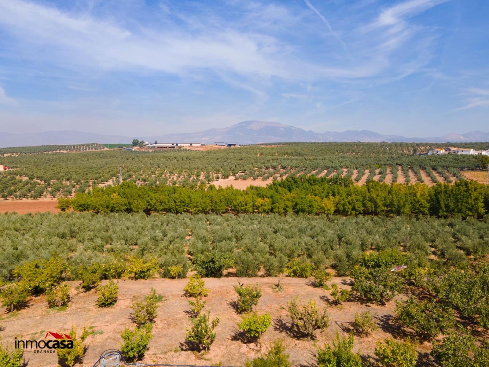 5 soveværelse Villa til salg i Moraleda de Zafayona med swimmingpool - € 800.000 (Ref: 8572263)