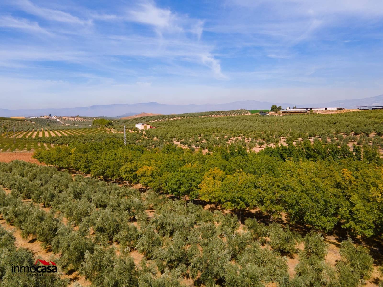 5 soveværelse Villa til salg i Moraleda de Zafayona med swimmingpool - € 800.000 (Ref: 8572263)