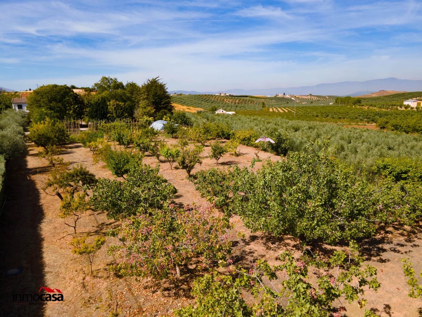 5 soveværelse Villa til salg i Moraleda de Zafayona med swimmingpool - € 800.000 (Ref: 8572263)