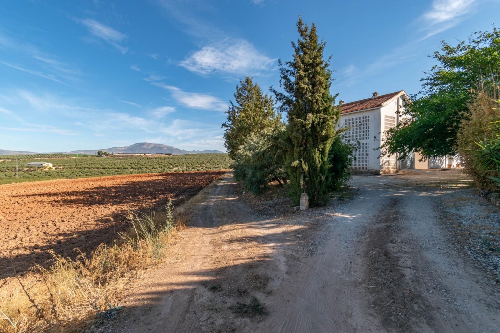 5 soveværelse Villa til salg i Moraleda de Zafayona med swimmingpool - € 800.000 (Ref: 8572263)
