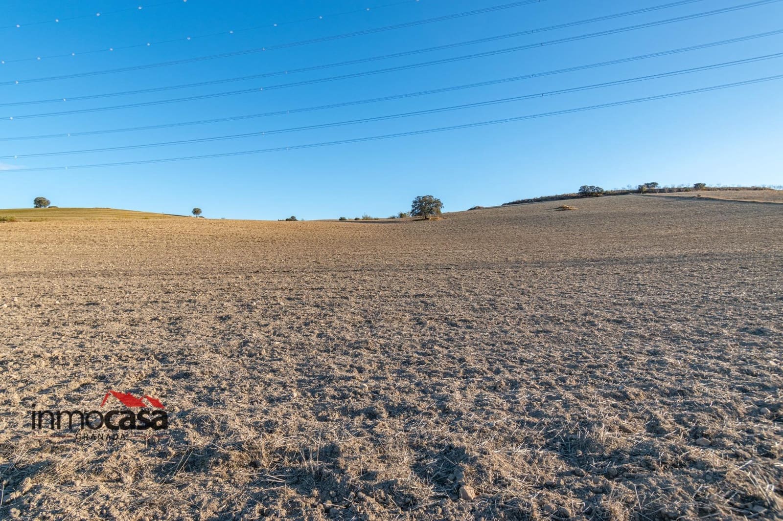 Byggegrund til salg i Pedro Martinez - € 150.000 (Ref: 8786856)