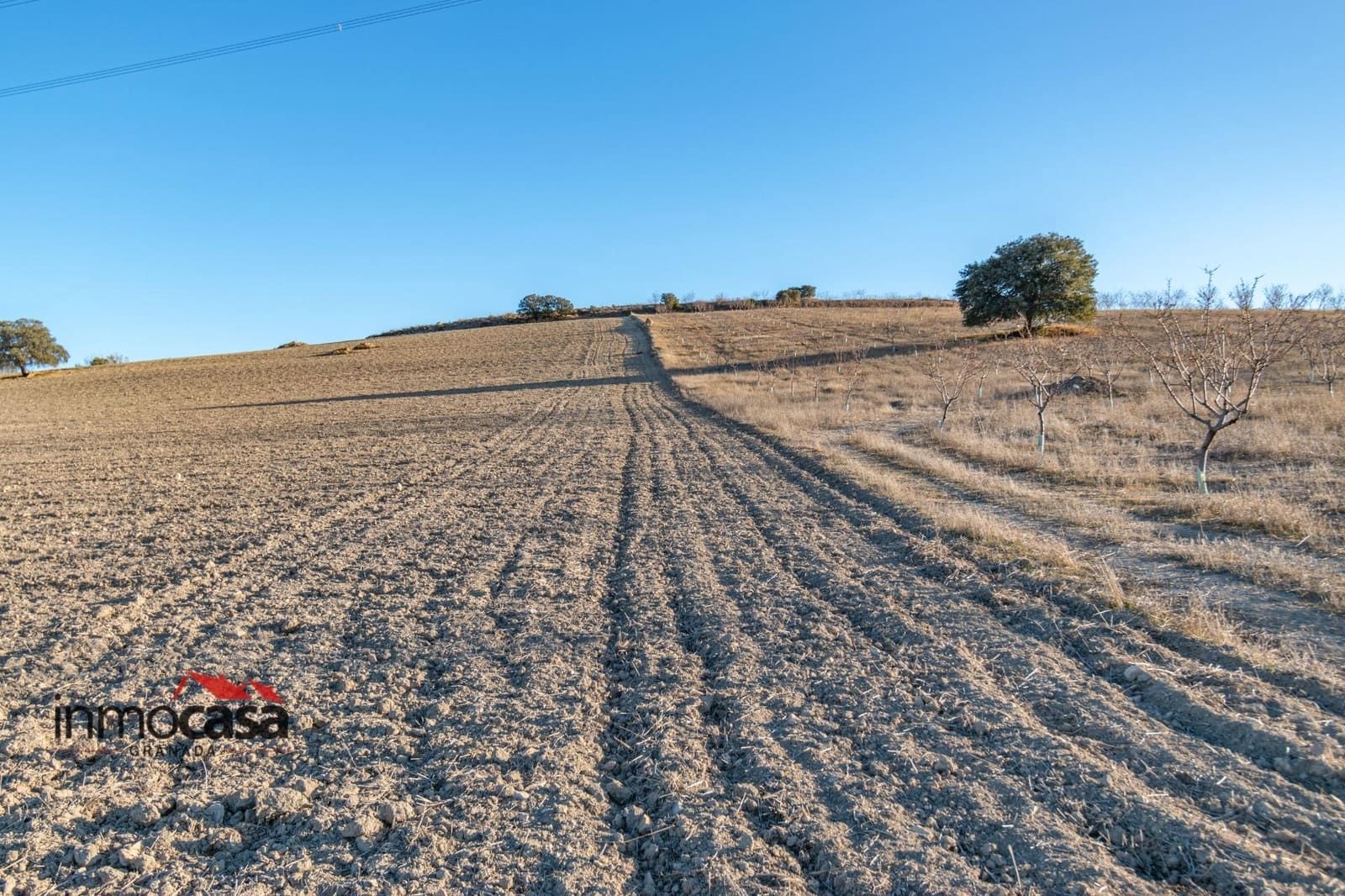 Byggegrund til salg i Pedro Martinez - € 150.000 (Ref: 8786856)