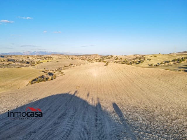 Bouwgrond te koop in Pedro Martínez - € 150.000 (Ref: 8786856)