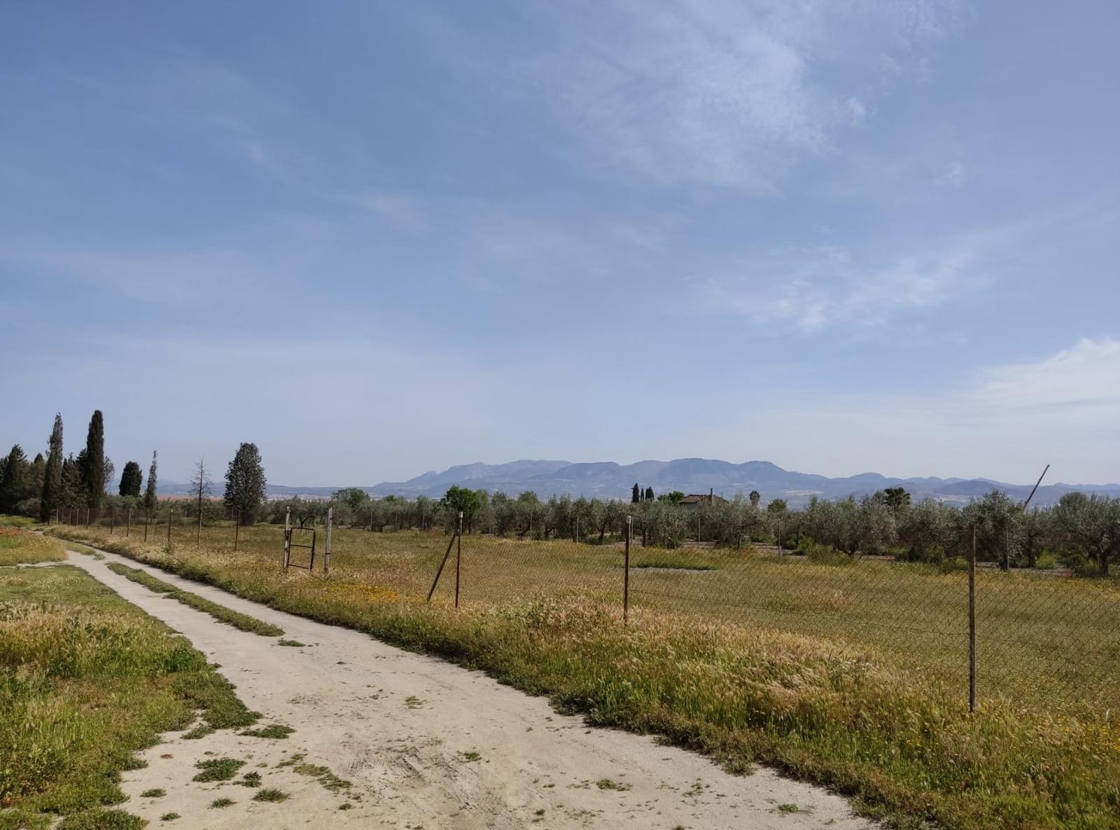 Ubebygd land til salgs i Cullar Vega - € 38 000 (Ref: 8957248)