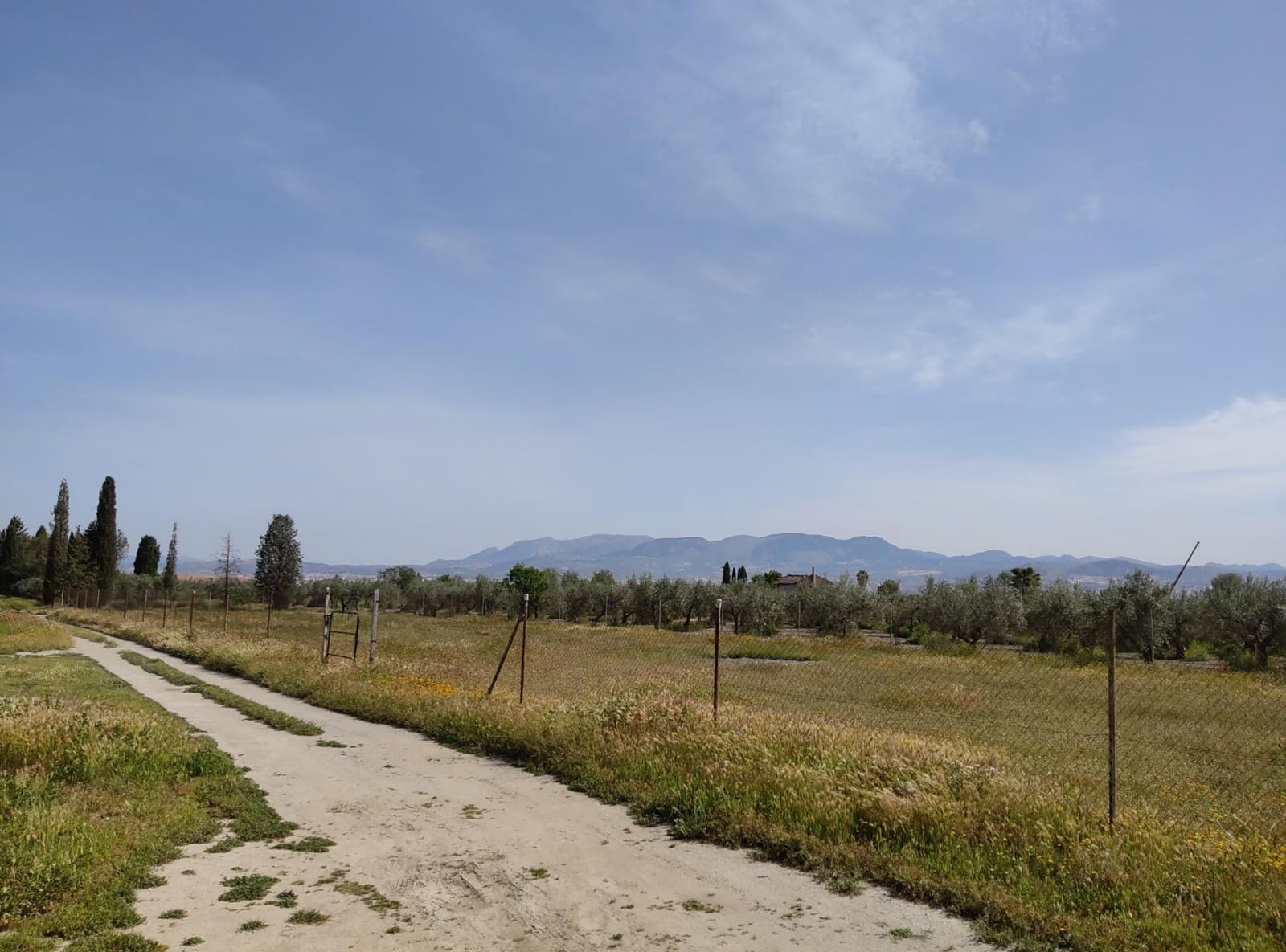 Ubebygd land til salgs i Cullar Vega - € 38 000 (Ref: 8957248)