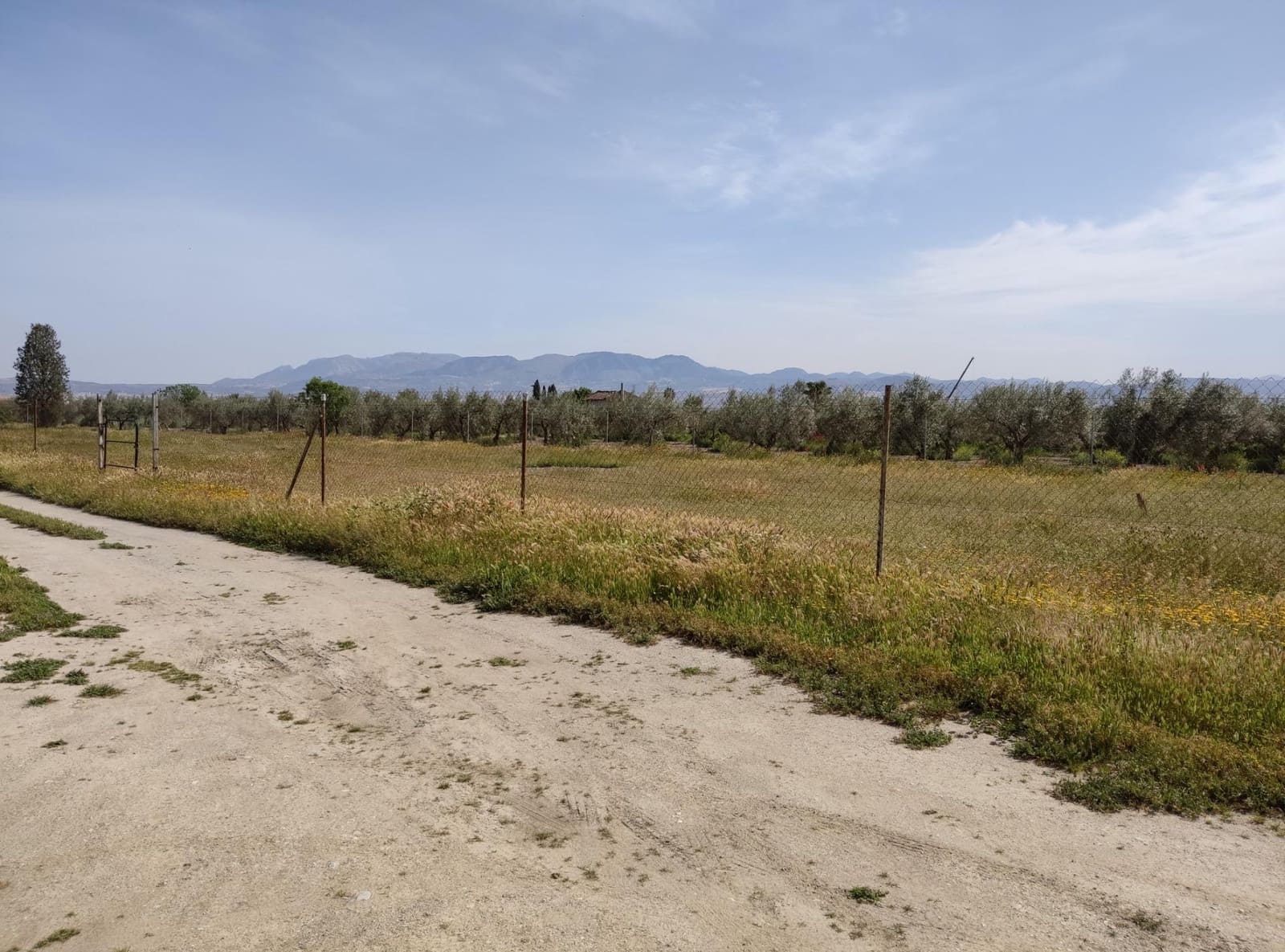 Ubebygd land til salgs i Cullar Vega - € 38 000 (Ref: 8957248)