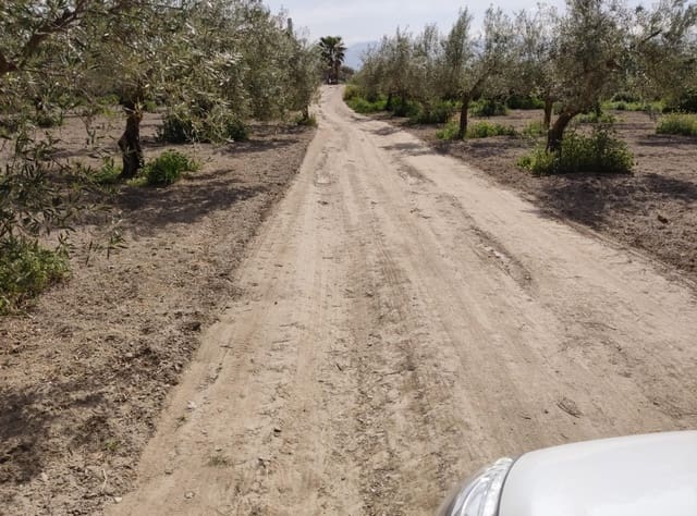 Ubebygd land til salgs i Cúllar Vega - € 38 000 (Ref: 8957248)