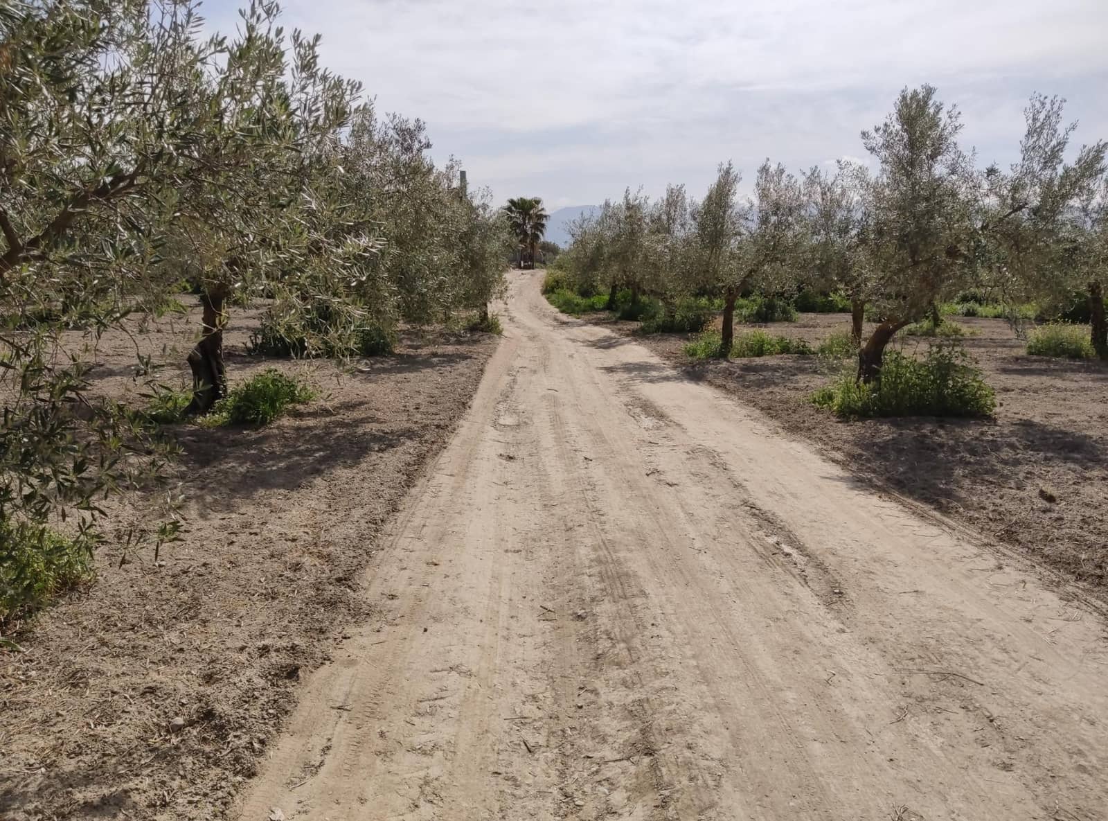 Ubebygd land til salgs i Cullar Vega - € 38 000 (Ref: 8957248)