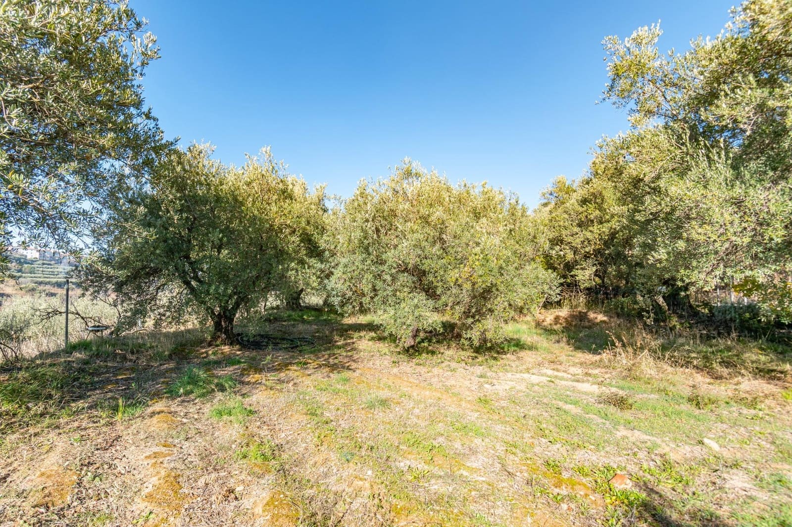 Ubebygd land til salgs i Dilar - € 139 500 (Ref: 8976278)