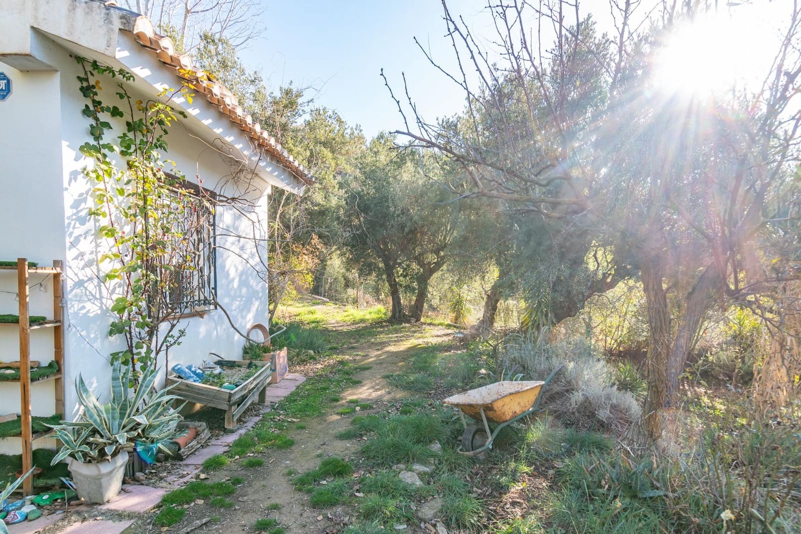 Ubebygd land til salgs i Dilar - € 139 500 (Ref: 8976278)